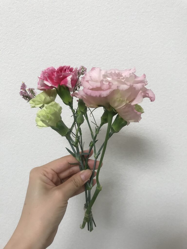 bloomeeから届いた鼻の画像